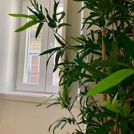 Graceful 1bdr 141 Apartment *